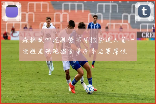 森林狼四连胜势不可挡紧追火箭一场胜差领跑掘金争夺季后赛席位